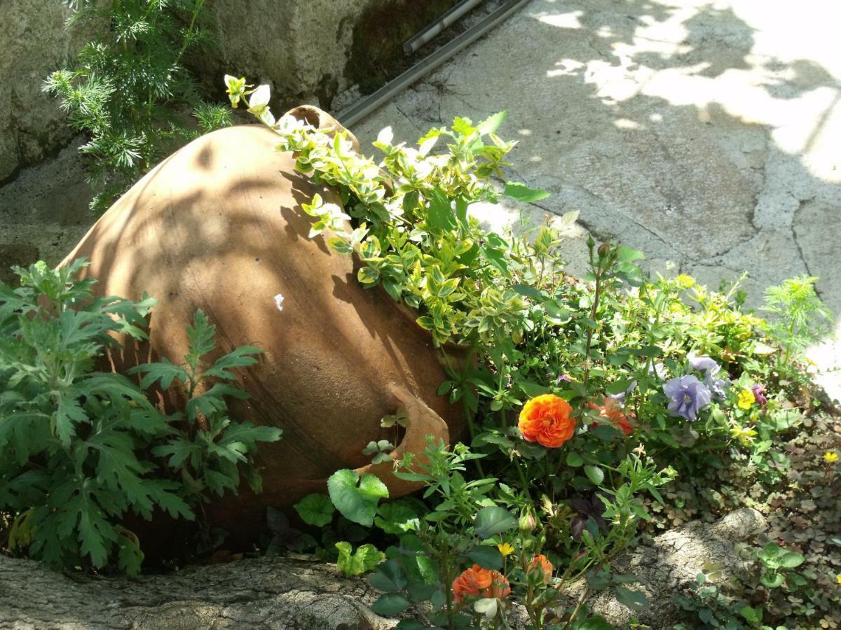 Bakalnitsa Trakiya Hotel Popovets Buitenkant foto